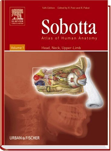 Sobotta Atlas Of Human Anatomy Head Neck Upper Limb 14th Johannes Sobotta