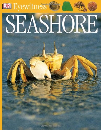 Seashore Dk Eyewitness Books Steve Parker