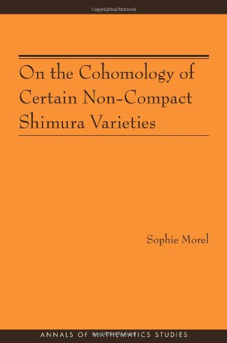 On The Cohomology Of Certain Noncompact Shimura Varieties Sophie Morel