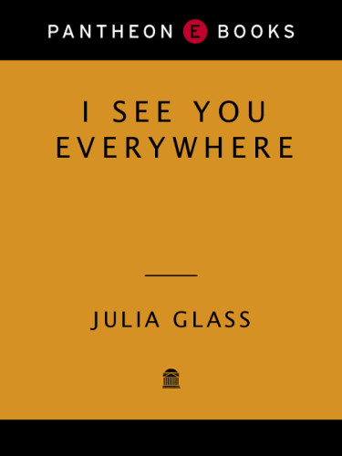 I See You Everywhere Julia Glass
