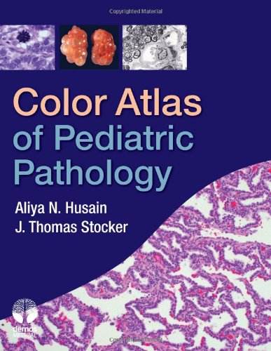 Color Atlas Of Pediatric Pathology 1st Edition Aliya Husain Md