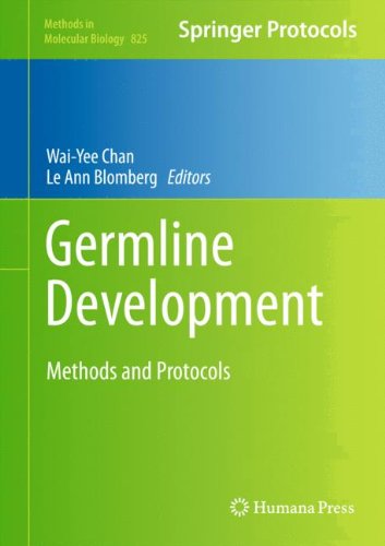 Germline Development Methods And Protocols Methods In Molecular Biology V825 1st Waiyee Chan