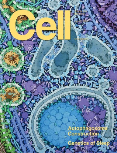 Cell Journal 22 July 2011 Volume 146 Issue 2 Emilie Marcus