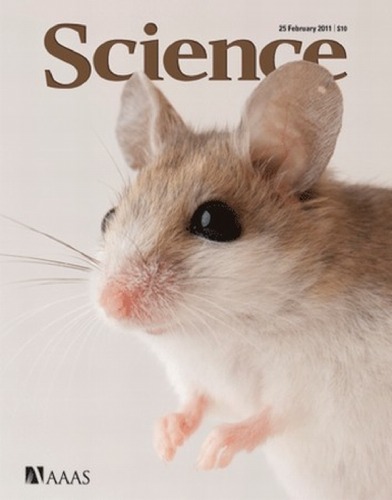 Science Magazine February 25th 2011 Volume 331 Issue 6020 Aaas