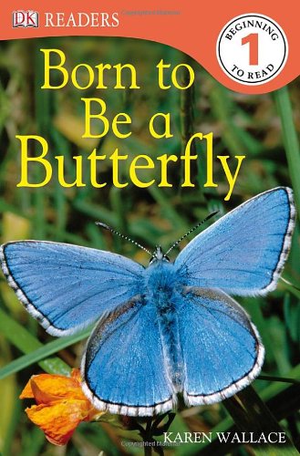 Born To Be A Butterfly Karen Wallace