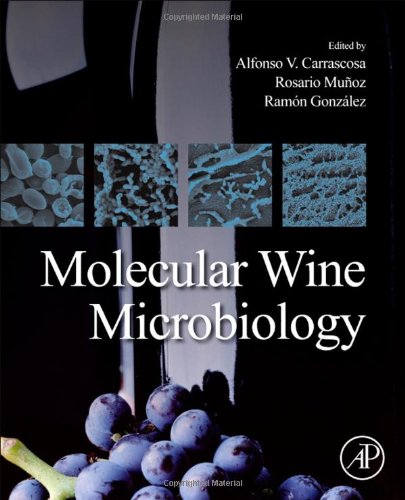 Molecular Wine Microbiology 1st Edition Alfonso V Carrascosa Santiago