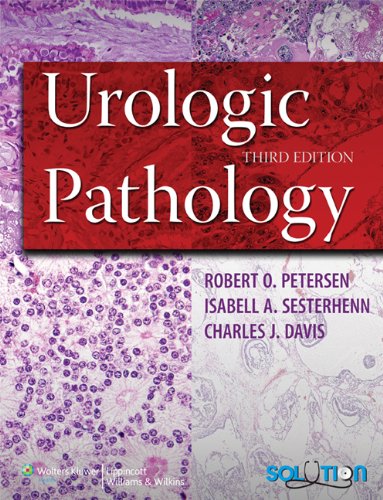 Urologic Pathology 3rd Edition Third Robert O Petersen Isabell A Sesterhenn