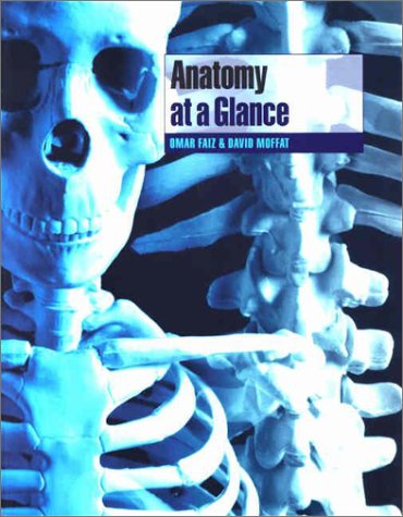 Anatomy At A Glance 1st Edition Omar Faiz David Burns Moffat