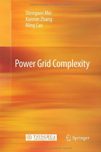 Power Grid Complexity 1st Edition Shengwei Mei Xuemin Zhang