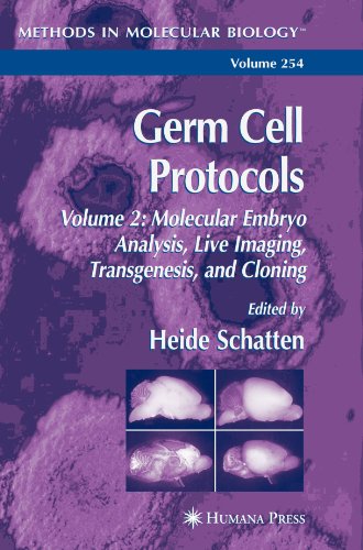 Germ Cell Protocols Vol 2 Molecular Embryo Analysis Live Imaging Transgenesis And Cloning Methods In Molecular Biology Vol 254 Softcover Reprint Of Hardcover 1st Ed 2004 Heide Schatten