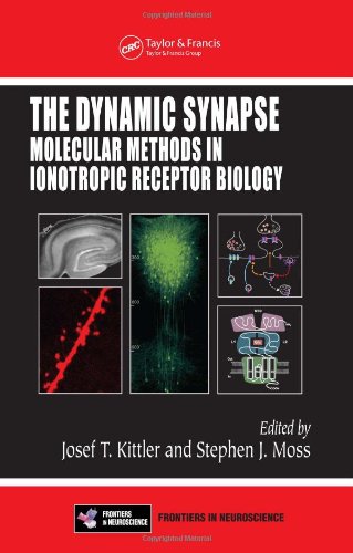 The Dynamic Synapse Molecular Methods In Ionotropic Receptor Biology Frontiers In Neuroscience 1st Edition Josef T Kittler