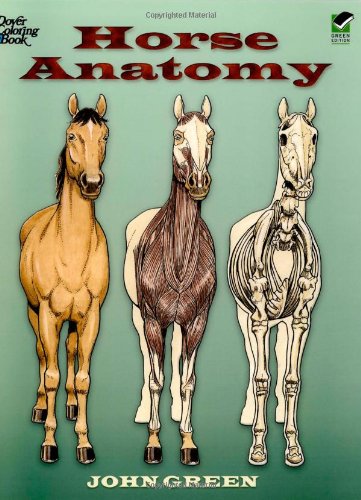Horse Anatomy Dover Nature Coloring Book John Green Coloring Books