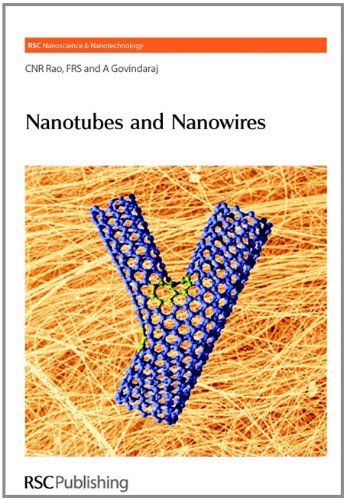 Nanotubes And Nanowires Rsc Nanoscience And Nanotechnology 1st Edition C N R Rao