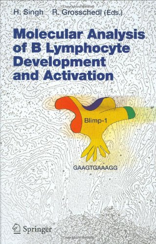 Molecular Analysis Of B Lymphocyte Development And Activation 1st Edition K L Medina