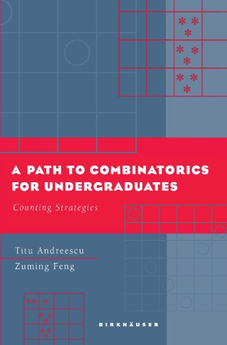 A Path To Combinatorics For Undergraduates Counting Strategies 1st Edition Titu Andreescu