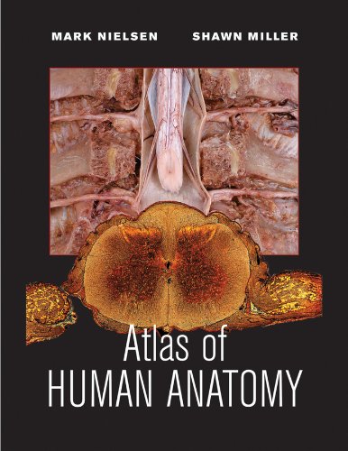 Atlas Of Human Anatomy 1st Edition Mark Nielsen Shawn Miller