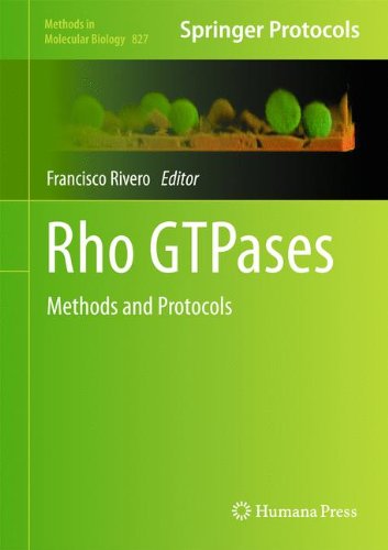 Rho Gtpases Methods In Molecular Biology V827 2012th Edition Francisco Rivero