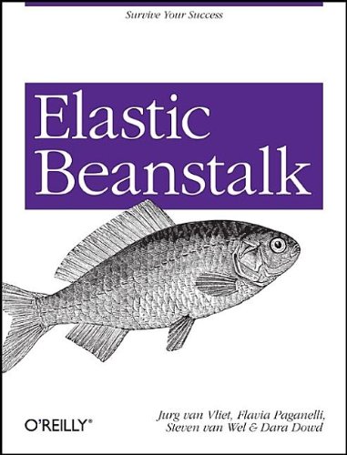 Elastic Beanstalk Jurg Van Vliet Flavia Paganelli Steven Van Wel