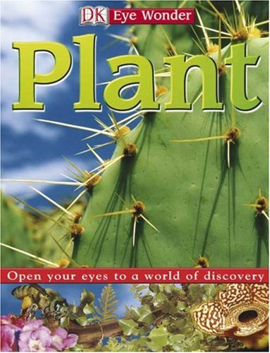 Plant Dk Eye Wonder Fleur Star