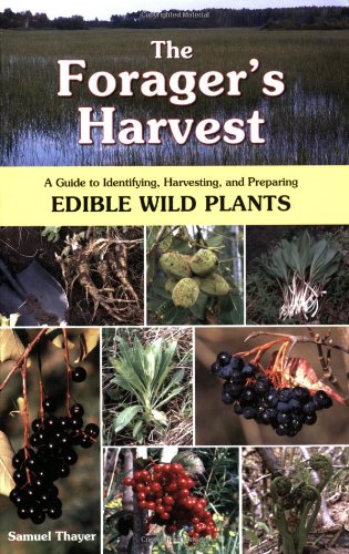 The Foragers Harvest A Guide To Identifying Harvesting And Preparing Edible Wild Plants 1st Edition Samuel Thayer