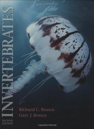 Invertebrates 2nd Ed 2nd Edition Richard C Brusca Gary J Brusca