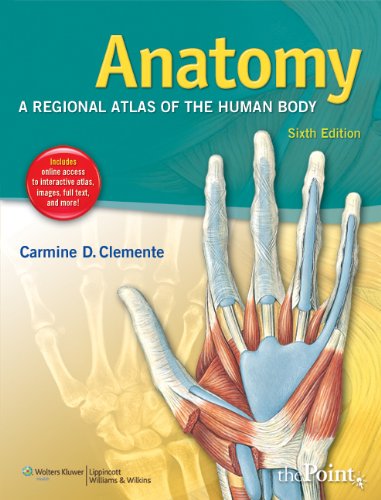 Anatomy A Regional Atlas Of The Human Body 6th Edition 6th Edition Carmine D Clemente