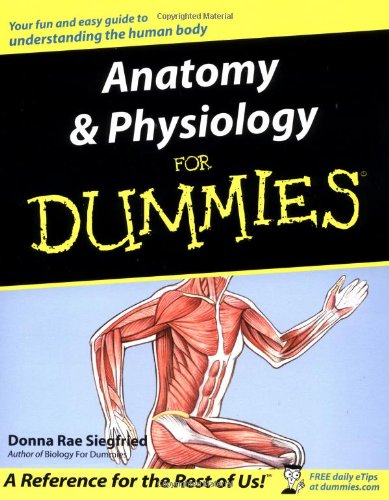 Anatomy And Physiology For Dummies 1st Donna Rae Siegfried
