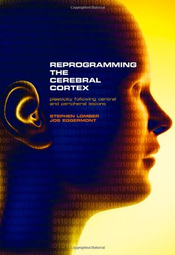 Reprogramming The Cerebral Cortex Plasticity Following Central And Peripheral Lesions 1st Edition Stephen Lomber