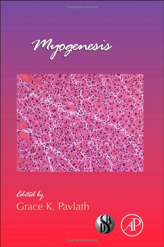 Myogenesis 1st Edition Grace K Pavlath Eds