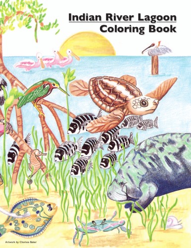 Indian River Lagoon Coloring Book Aquatic Preseves Are Exceptional Activity Book Darla J Fousek