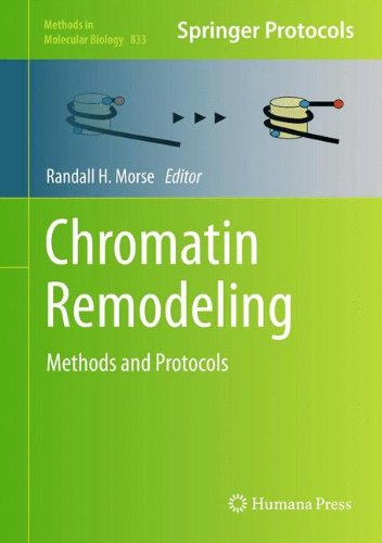 Chromatin Remodeling Methods In Molecular Biology V833 2012th Edition Randall H Morse