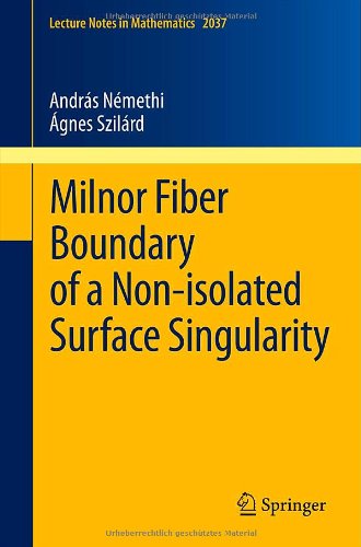 Milnor Fiber Boundary Of A Nonisolated Surface Singularity 1st Edition Andrs Nmethi
