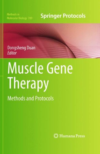 Muscle Gene Therapy Methods And Protocols 1st Edition Charis L Himeda