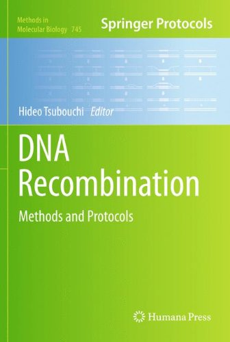 Dna Recombination Methods And Protocols 1st Edition Xiuzhong Zheng
