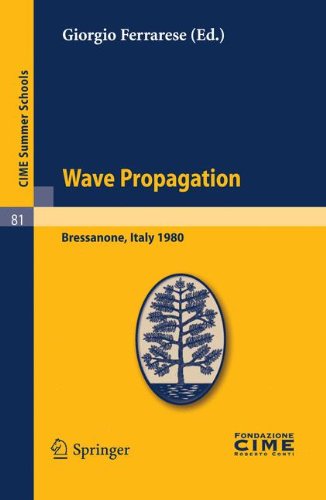 Wave Propagation 1st Edition A Jeffrey Auth Giorgio Ferrarese Eds