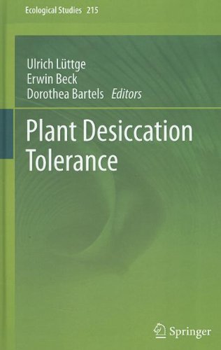 Plant Desiccation Tolerance 1st Edition Dorothea Bartels Ulrich Lttge