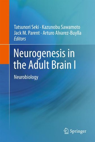 Neurogenesis In The Adult Brain I Neurobiology 1st Edition Tatsunori Seki