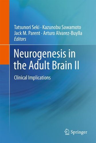 Neurogenesis In The Adult Brain Ii Clinical Implications 1st Edition Tatsunori Seki