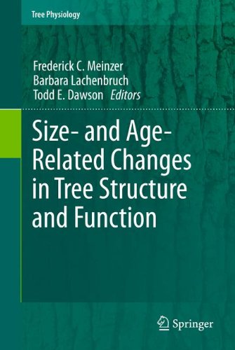 Size And Agerelated Changes In Tree Structure And Function 1st Edition Thomas M Hinckley