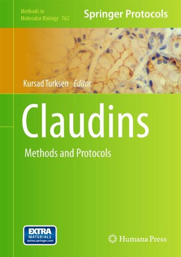 Claudins Methods And Protocols 1st Edition Christina M Van Itallie