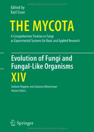 Evolution Of Fungi And Fungallike Organisms 1st Edition Martin Carr