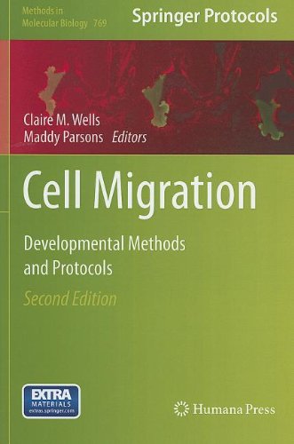 Cell Migration Developmental Methods And Protocols 2nd Edition Miguel Vicentemanzanares