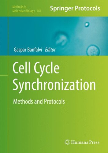 Cell Cycle Synchronization Methods And Protocols 1st Edition Gaspar Banfalvi Auth
