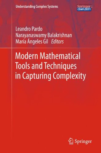 Modern Mathematical Tools And Techniques In Capturing Complexity 1st Edition Wenceslao Gonzlezmanteiga
