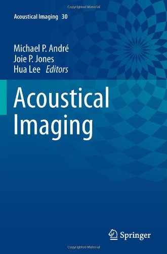 Acoustical Imaging Volume 30 1st Edition Mp Andr M Galperin