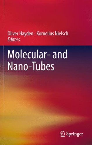 Molecular And Nanotubes 1st Edition Francisco Bezanilla Auth