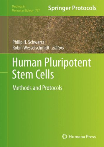 Human Pluripotent Stem Cells Methods And Protocols 1st Edition Robin L Wesselschmidt