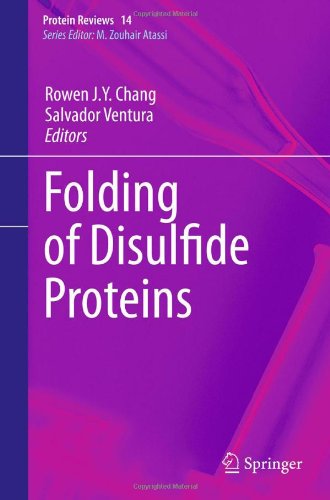 Folding Of Disulfide Proteins 1st Edition Salvador Ventura Rowen J Y Chang Auth