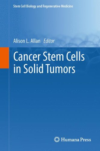Cancer Stem Cells In Solid Tumors 1st Edition Alison L Allan