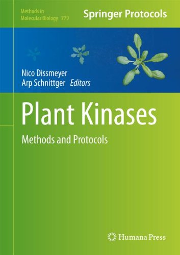 Plant Kinases Methods And Protocols 1st Edition Nico Dissmeyer